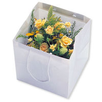 シモジマ アレンジバッグ M 白無地 006441101 1袋(10枚)