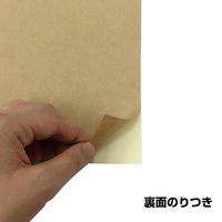 エヒメ紙工 クラフトシール用紙 A3 25枚 NKST-A3-25 1袋