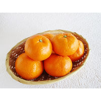 ベジテック 愛媛県産 味ピカみかん 2.5kg vege227 1ケース(2.5kg)（直送品）