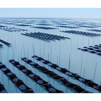 佐賀海苔(株) 佐賀海苔 一等級佐賀有明海産焼のり 6枚×60袋 4589645911101 1セット(60袋)（直送品）