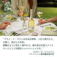 ペリエ ジュエ ブラン・ド・ブラン 750ml 1本 グラス2脚セット エコロジカル ボックス 箱入り シャンパン ペルノ・リカール