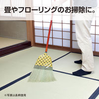 テラモト 座敷ホーキ　信濃 短柄 屋内用 ほうき CL3932000　1本