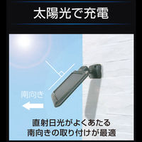 大進 センサーライト ソーラータイプ 屋外用 1灯式 DLS-17T100 1台（直送品）