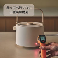 TTS GOYO 電子ケトル ホワイト EKP10100001 1台（直送品）