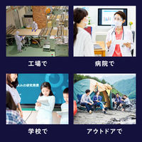 サンワサプライ iPad Pro 11インチ（M4/2024）用耐衝撃防水ケース PDAーIPAD17163 1個