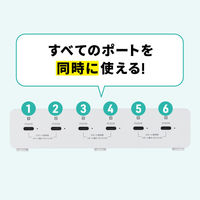 サンワサプライ USB PD対応AC充電器（6ポート・合計72W） ACAーPD98 1個