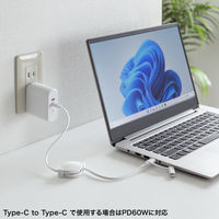 サンワサプライ USB2.0 TypeーC巻き取りケーブル（Lightning変換アダプタ付き） KBーIPLTCM08W 1本