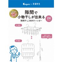 シービージャパン 隙間干し2WAYハンガー24P 1個