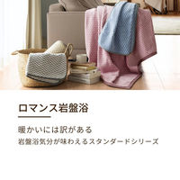 ロマンス小杉 ロマンス岩盤浴敷きパッド Sサイズ 100×205cm グレー 3335-7260-4900 1枚（直送品）