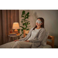 アイリスオーヤマ モイスクル じんわりホットアイマスク 無香料 10枚入り MSM-M10 1個（直送品）