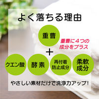 洗濯用重曹プラス 600g 衣料用洗剤 粉末洗剤 1個 丹羽久