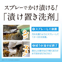 アブラトルネード 油・コゲ落とし剤 本体 260mL 1個 リベルタ