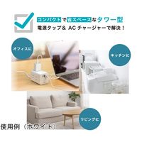 電源タップ AC×6 USBーA×2 C×1 PD対応 タワー型 ホワイト 6個セット L-PSAC6-W 1ケース(6個)（直送品）