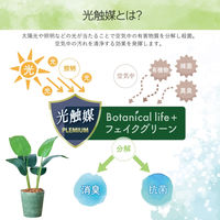 エスエスケイ 光触媒インテリアグリーン オーガスタ 80cm 25087 1個（直送品）