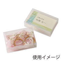 ＨＥＩＫＯ　ＰＥＴクリアケース 61×93×24 無地　006854111　1個(10個入)（直送品）