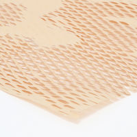 ＨＥＩＫＯ　フラワーラッピングロール フルールネット ウォームベージュ　006778402　1本