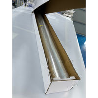 エーインサイト セキュリティフィルム AI-SGS01 1箱（直送品）