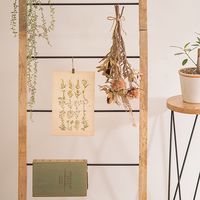 ポッシュリビング ラダーL　W48×D3×H160cm マンゴーウッド/アイアン 41313 1個（直送品）