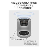 Bluetoothポータブルスピーカー mini 防水IPX6 microSD対応 ブラック（直送品）