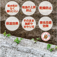 アストロ 敷きわら風 キラキラシート1×10m 530-09 1枚（直送品）