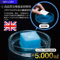 アストロ ドライ&ドライ吸湿防ダニマット シングル 614-41N 1枚（直送品）