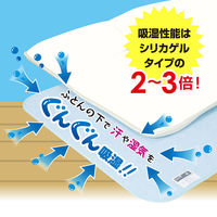 アストロ ドライ&ドライ吸湿防ダニマットシングル2枚組 614-43N 1セット(2枚)（直送品）