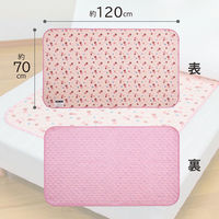 アストロ 除湿で防ダニ! 吸湿マット さくら柄 614-76 1枚（直送品）