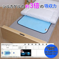 アストロ ドライ&ドライ 防ダニ抗菌防臭!吸湿マット シングル2枚組 614-98 1セット(2枚)（直送品）