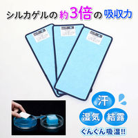 アストロ ドライ&ドライ 防ダニ抗菌防臭!吸湿シート 3枚組 617-74 1セット(3枚)（直送品）