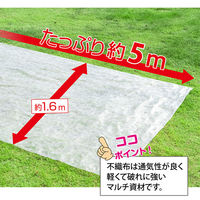 アストロ 虫よけ・霜よけ保護シート 1.6×5m 520-43 1枚（直送品）