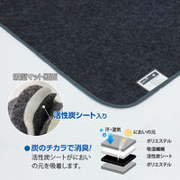 アストロ 消臭炭入ドライ&ドライ吸湿防ダニマット ダブル 2枚組 615-04 1セット(2枚)（直送品）