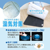 アストロ 消臭炭入ドライ&ドライ吸湿防ダニマット シングル 615-01 1枚（直送品）