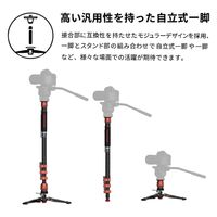 IFOOTAGE 自立式一脚 CB3-C180F-P 1台（直送品）