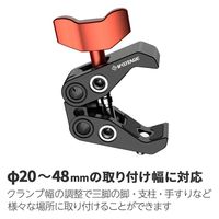 iFOOTAGE(アイフッテージ) パイプクランプ SPIDER-CRAB-PC-01 1台（直送品）