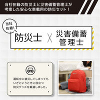 車載用防災セットDX リュックタイプ スカイブルー 1セット 防災セット 防災グッズ 非常用持ち出し袋 運転中 車 渋滞（直送品）