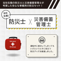 車載用防災ポーチセット 10セット 防災セット 防災グッズ 非常用持ち出し袋 運転中 車 渋滞（直送品）