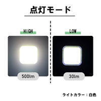 ミニライト単機能充電 四角 BPLM-09 1個