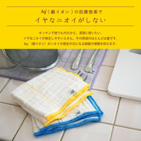 イヤなニオイのしないふきん 綿 かや織り 食卓用 約30×30cm Ag+除菌ふきん 抗菌 ブルー・イエロー 1パック（2枚入）オカ