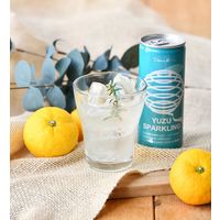 マルカイコーポレーション ゆずスパークリング 250ml 1箱（30缶入）