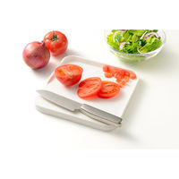 オークス フチ付きまな板ミニ LES3206 1個（直送品）