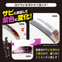 アイメディア 業務用ガチ落ちサビ取りスプレー 1010220 1個（直送品）