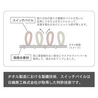 日繊商工 洗うほどに膨らむタオルギフト(緑)/ゴールドのシール付き CE1022GR-gold-10 1箱(10個入)（直送品）