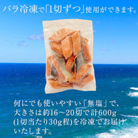 カネサン佐藤水産 北海道産 天然秋鮭 無塩 冷凍 切身 パック 600g 116652880 1箱（直送品）