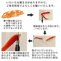 カネサン佐藤水産 北海道産オオズワイガニ カナダ産本ズワイガニ 食べ比べセット 2尾 計750g 116652881 1箱(2尾入)（直送品）