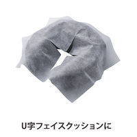 ピローシート（クロススリット入り）30×30cm（200枚入り） フィフティ・ヴィジョナリー