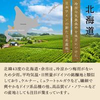 グランポレール 余市ケルナー 白ワイン やや辛口 750ml 1本　サッポロ　日本ワイン
