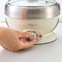 【アウトレット】アピックスインターナショナル 鍋 おひとりさまカット野菜鍋 アイボリー AEP-174 1台