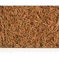 乾燥 赤虫 アカムシ 天然高タンパクフード 餌 5g 1個 キョーリン