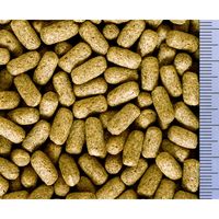 おおきなカメのエサ 特大粒 お徳用 国産 500g 餌 1個 キョーリン