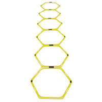 サクライ貿易 ラダーハードル兼用セット 724-067 1台（直送品）